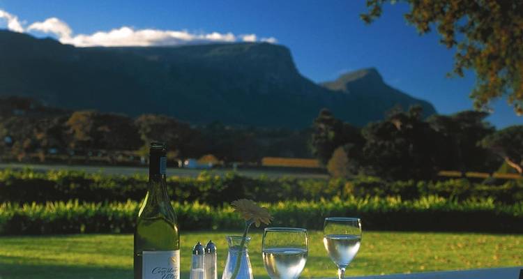 6 Days and 5 Nights Cape Town Tour - Africa Moja Tours & Transfers 2