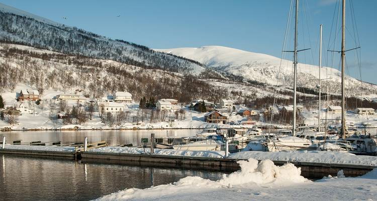 Norway Fjords and Northern Lights (From November 2025) - Contiki 4