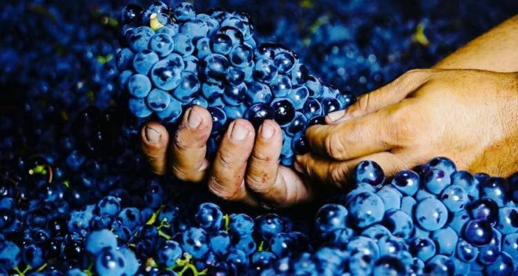 3 días: lo mejor de Moldavia, descubre Transnistria y prueba el vino de Moldavia con bodega incluida - MoldovaTovisit 7