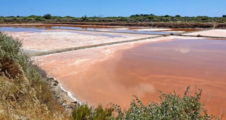 Algarve Coastal Walk - Eurohike 8