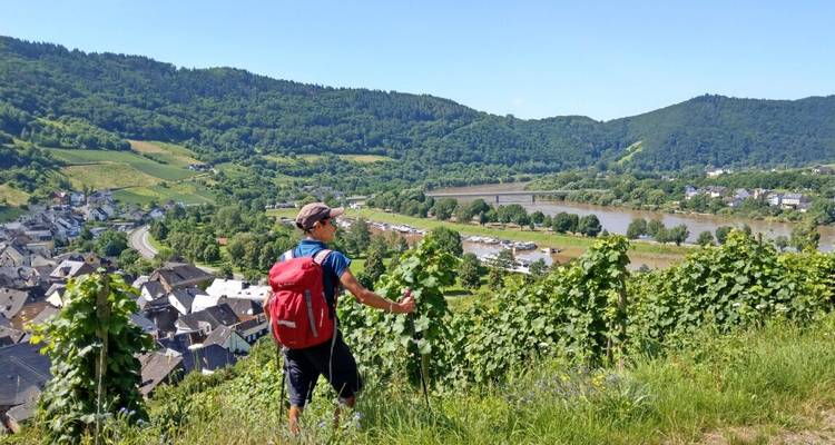 Le meilleur du Moselsteig - Eurohike 1