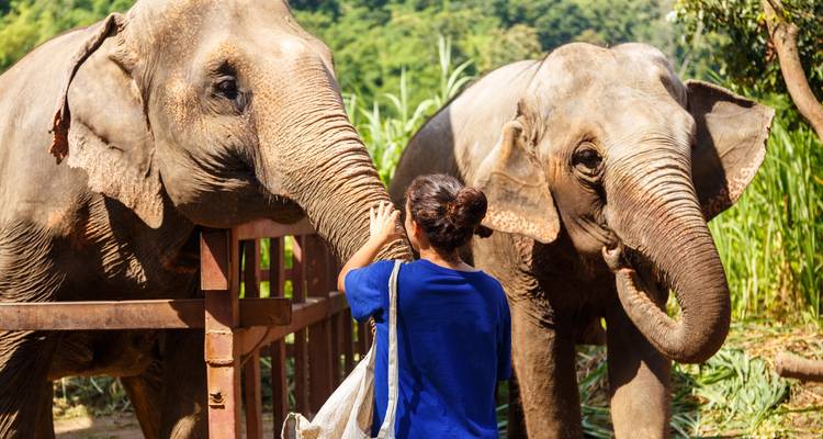 Best of Thailand (4 Star Hotels) - Travel Talk 4