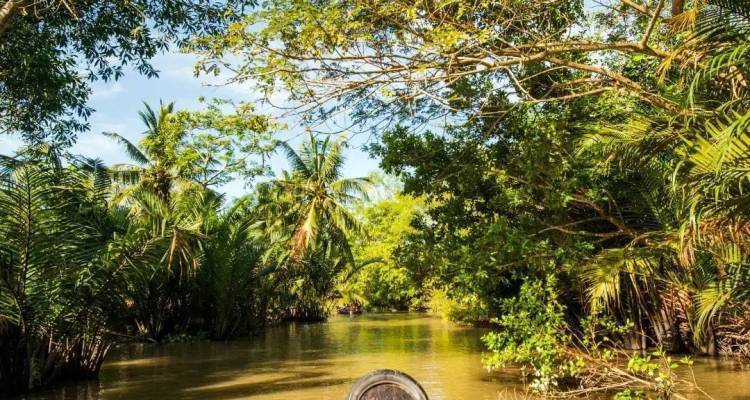 Aussicht von einem kleinen Boot, das durch üppige, von Palmen gesäumte Wasserstraßen des Mekong-Deltas gleitet.