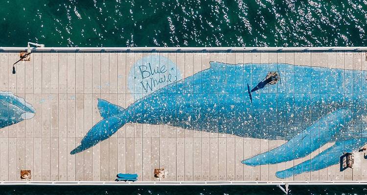 Vue aérienne d'une longue jetée ornée d'une fresque murale représentant une baleine bleue géante s'étendant au-dessus d'une eau océanique turquoise étincelante.