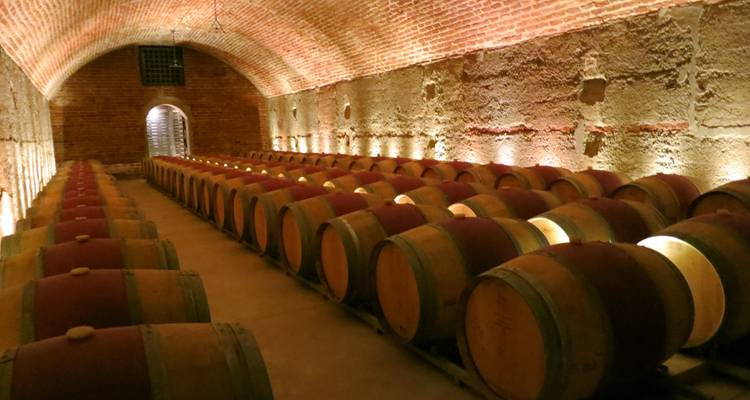 Friuli-Venecia Julia: Experiencia para descubrir los vinos y sabores de una tierra única - Angel Wine Experiences and Enotropea Wine Experiences SL 9