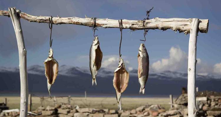 Fische, die an Holzstangen hängen, vor einer malerischen Bergkulisse.