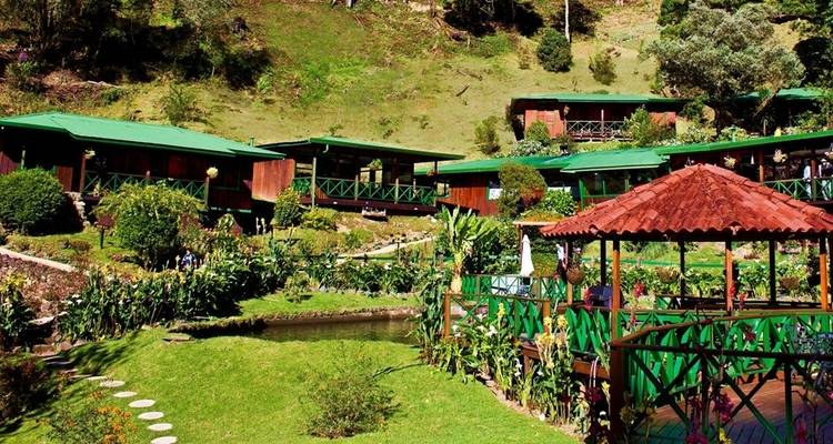 Ecotourisme au Costa Rica : forêts tropicales, café et littoral - Yellowwood Adventures Ltd 4