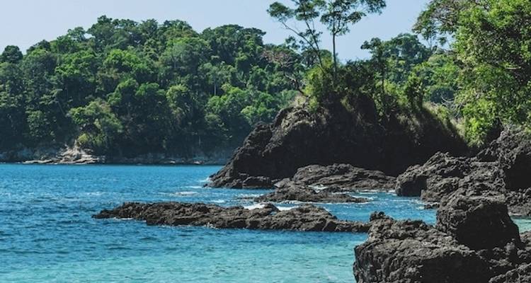 Ecotourisme au Costa Rica : forêts tropicales, café et littoral - Yellowwood Adventures Ltd 10