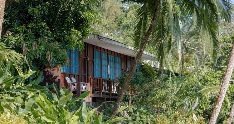 Ecotourisme au Costa Rica : forêts tropicales, café et littoral - Yellowwood Adventures Ltd 6