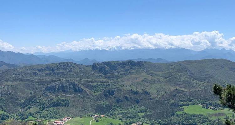 Vue panoramique de collines verdoyantes ondulantes avec des montagnes au loin.