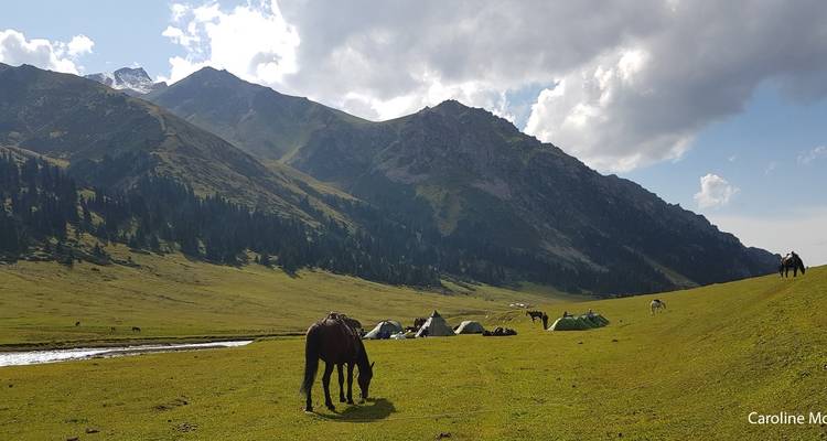 Caballos pastando cerca de tiendas de campaña con montañas de fondo.