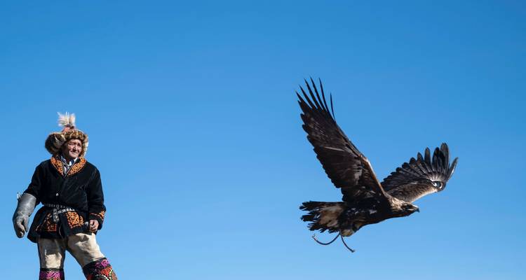Cazador de águilas con un ave salvaje en un paisaje abierto.