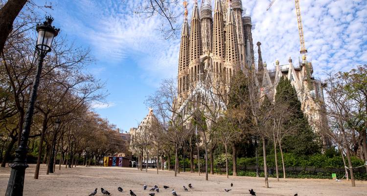 Sagrada Familia with trees and pigeons
