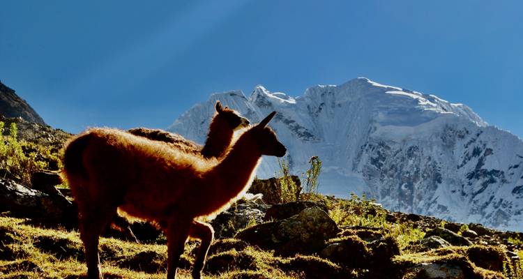 Excursión alternativa a Salkantay por el Camino Inca 4 días - Andean Path Travel 4