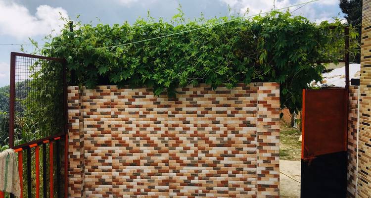 Außenwand mit Pflanzen und einem gefliesten Design.