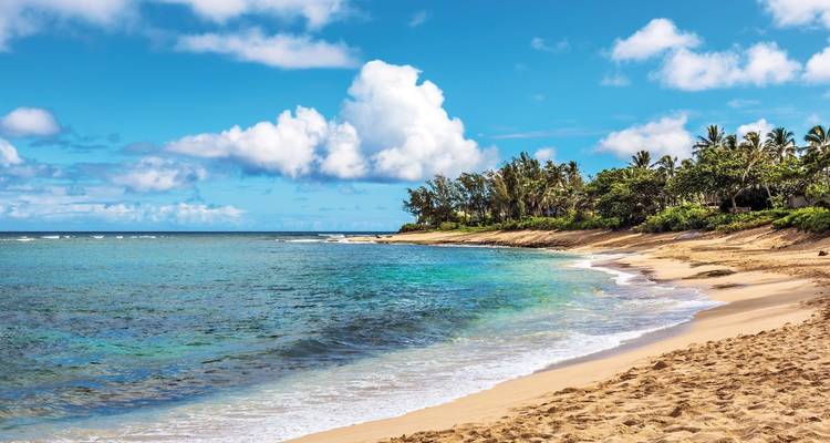 Een rustig strand met helder blauw water en weelderige begroeiing.