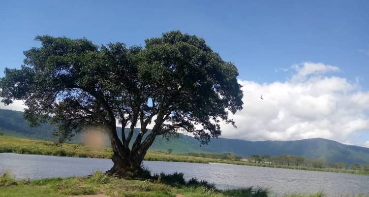 Safari en camping
 - Almighty Kilimanjaro 6