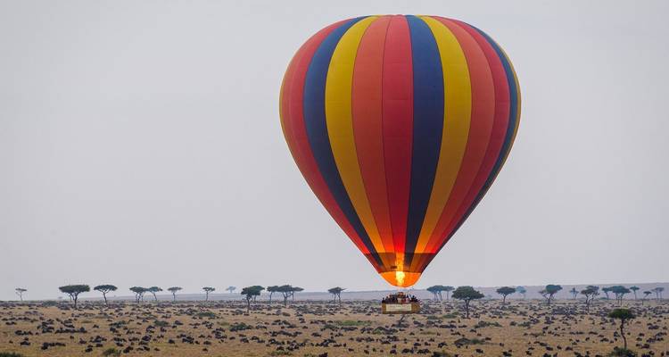 Heteluchtballon die afdaalt boven een savanne.