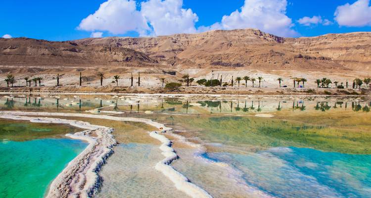 Piscinas de un turquesa vibrante y terrazas de sal a lo largo de la orilla del Mar Muerto rodeadas por montañas áridas.