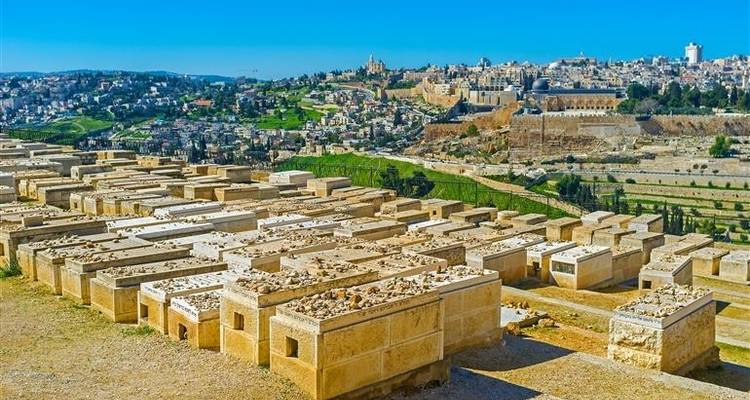 Jewish Israel Luxury Tour 10 days (Single, 5* Hotel) - Booking Tours 3