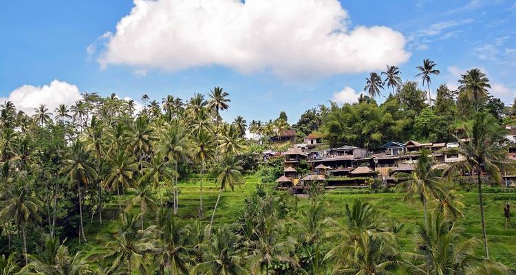 Bali: Great discovery & beach vacation (3 weeks) - Indochina Travels 7