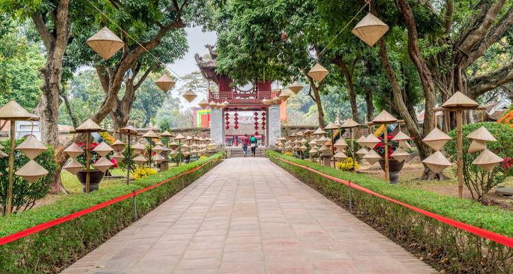 Pfad gesäumt mit traditionellen Kegelhüten und Bäumen.