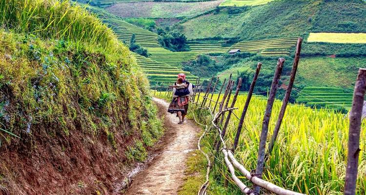 Lifestyle scene with a woman carrying a baby amidst terraced rice fields.