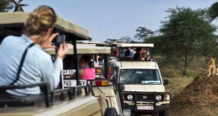 Kenya et Tanzanie via Amboseli, Maasai Mara, Serengeti et Ngorongoro - Kilimanjaro Wonders Expedition Safari 1