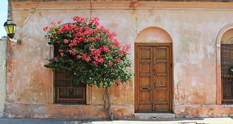 5 Day Experience in Uruguay - The Wine Experience  10