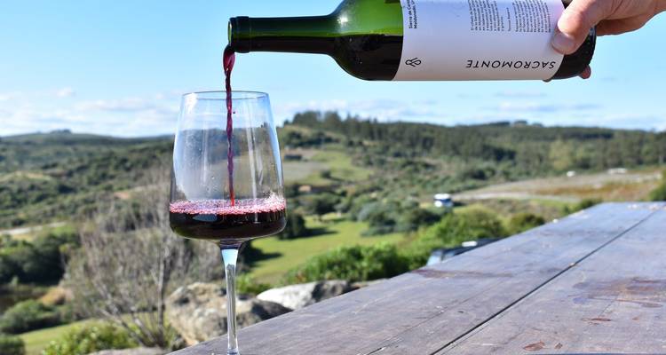 Expérience de 4 nuits - Découvrez l'Uruguay à partir de Punta del Este - The Wine Experience  9