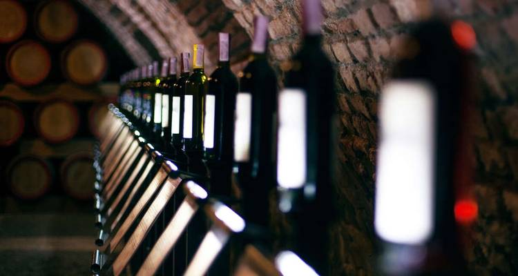 London to Bordeaux, the Basque Country and the Beach - Explore! 9