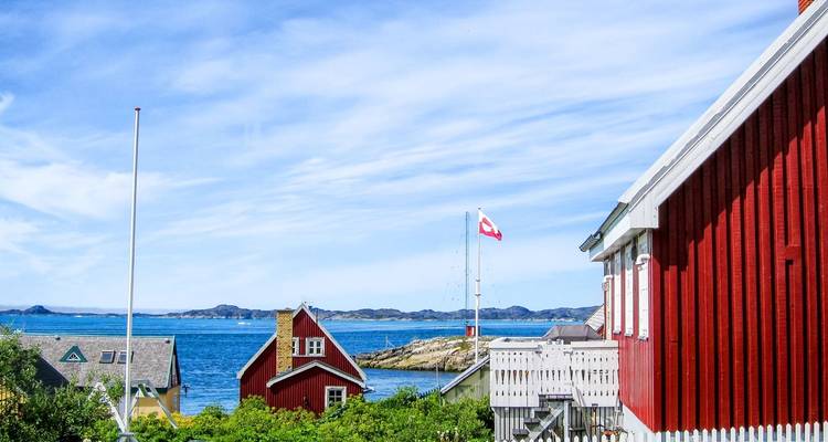Greenland Explorer 2025 - From Iceland to Greenland (Includes one-way flight from Kangerlussuaq to Copenhagen) - Albatros Expeditions 7
