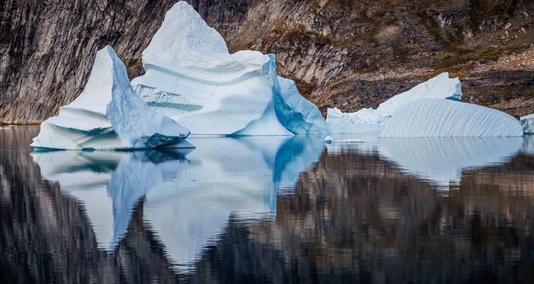 Greenland Explorer 2025 - From Iceland to Greenland (Includes one-way flight from Kangerlussuaq to Copenhagen) - Albatros Expeditions 9