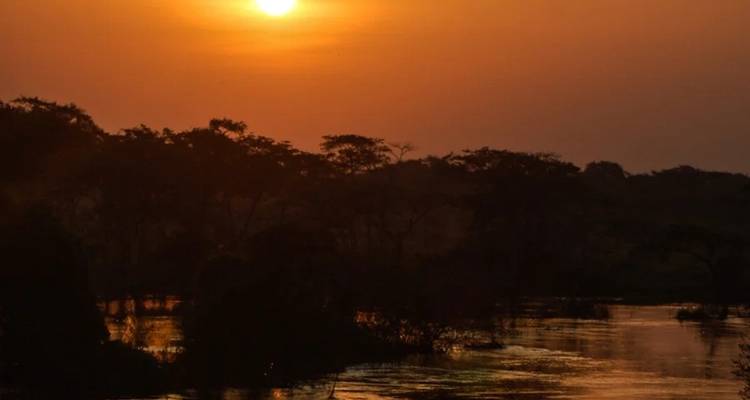 Safari sur la faune et la flore de l'ouest de l'Ouganda - Yellowwood Adventures Ltd 1