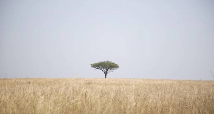 Safari sur la faune et la flore de l'ouest de l'Ouganda - Yellowwood Adventures Ltd 5