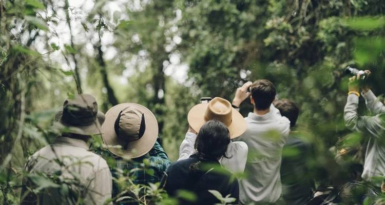 Safari sur la faune et la flore de l'ouest de l'Ouganda - Yellowwood Adventures Ltd 4