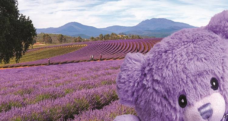 【Launceston】 forfait touristique de 6 jours - Delightful Travel 6
