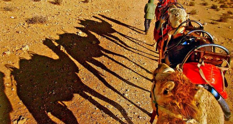 Eine Reihe von Kamelen mit Reitern, die lange Schatten auf eine Wüstenlandschaft werfen.