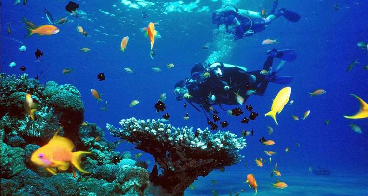 Snorkel en barco a Ras Mohamed - Booking To Egypt 2