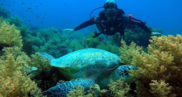 Snorkel en barco a Ras Mohamed - Booking To Egypt 6