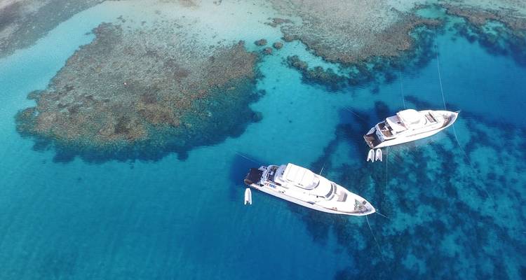 Snorkel en barco a Ras Mohamed - Booking To Egypt 8