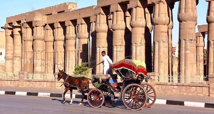 Circuito por la ciudad de Luxor en coche de caballos - Booking To Egypt 2