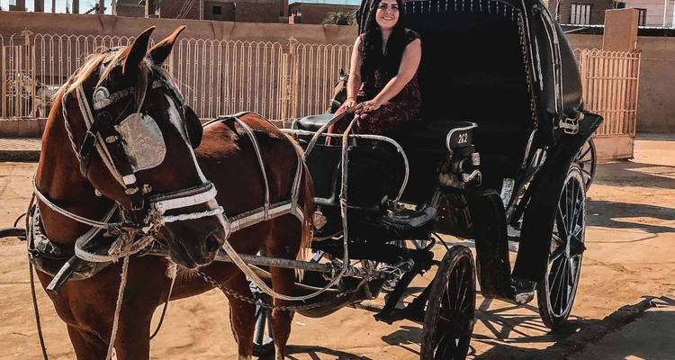 Circuito por la ciudad de Luxor en coche de caballos - Booking To Egypt 3