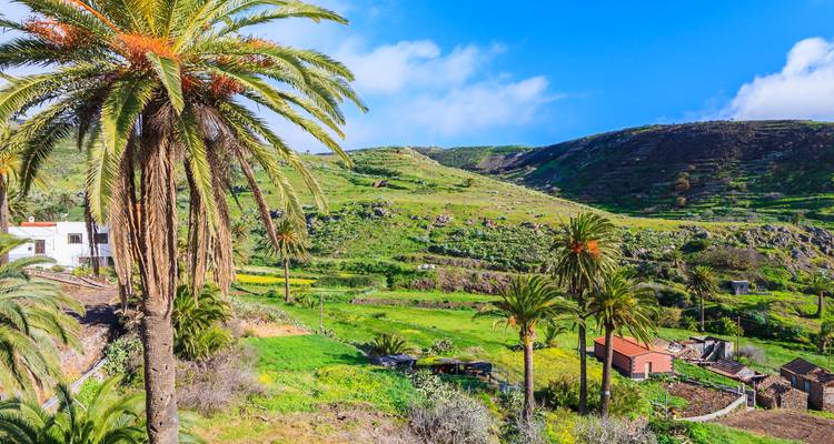 Lush green landscape with palm trees and rolling hills.