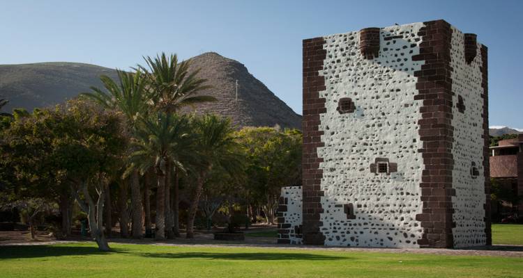 Historical stone tower surrounded by palm trees and green grass.