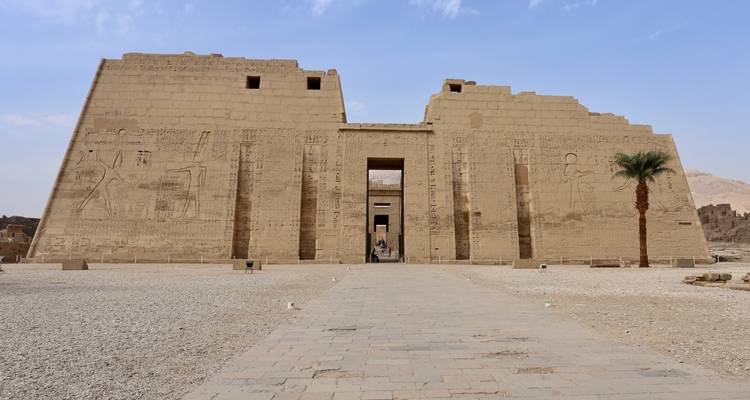 Gevel van een oud-Egyptische tempel met hiërogliefen en palmboom.