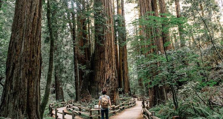 Descubrimiento de Portland a San Francisco - Intrepid Travel 1