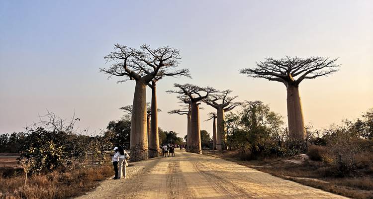 12 days Madagascar Discovering tour package - HT Agency Tours 8