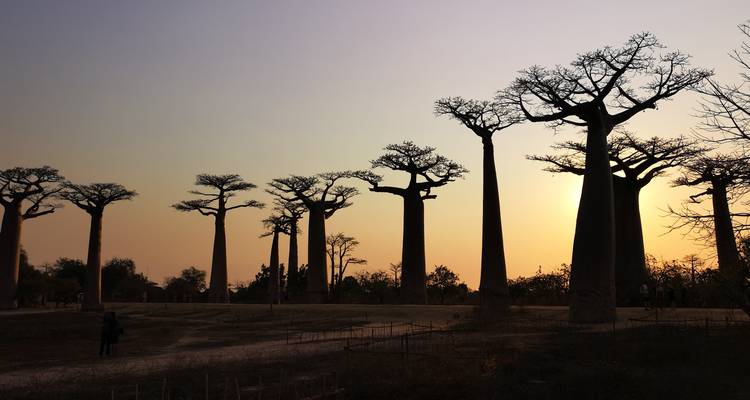 12 days Madagascar Discovering tour package - HT Agency Tours 9