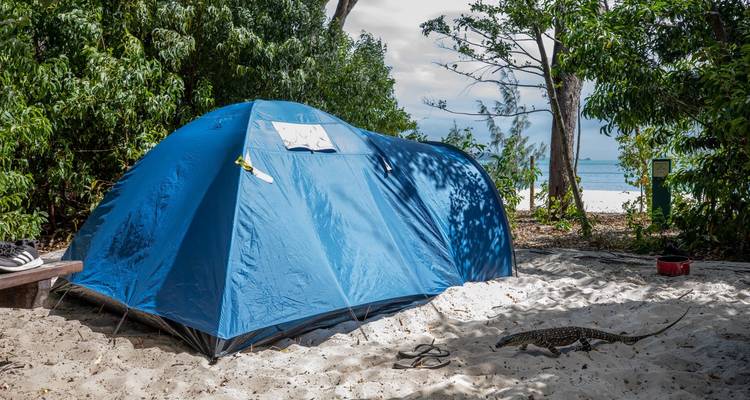 Whitehaven Beach campamento traslado - Whitsunday Island Camping Connection 2